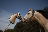 Fakó ló bőr kötőfékben orrával a róla készült almázott, fekete sörényű Hobby Horse másolatának orrához érve, kék ég alatt