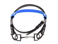 Black bridle with a bright blue browband and a silver snaffle bit, laid out on its own and seen from above