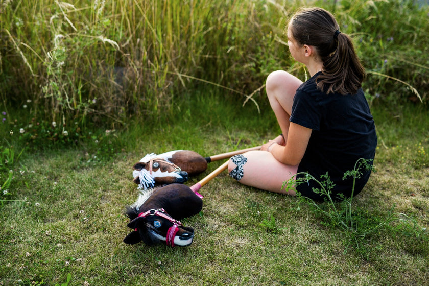 4 must-have pieces of equipment when you start Hobby Horsing