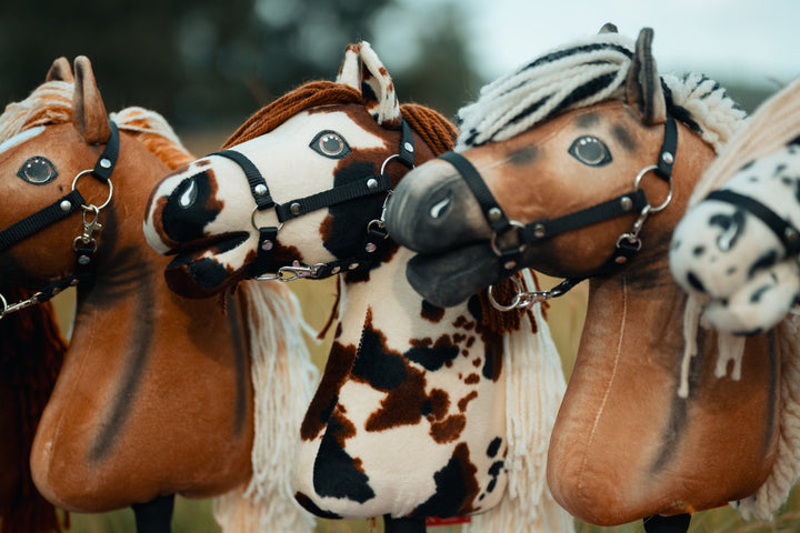 Hobby Horse lovak fekete kötőfékkel az amerikai Hobby Horse bajnokságon