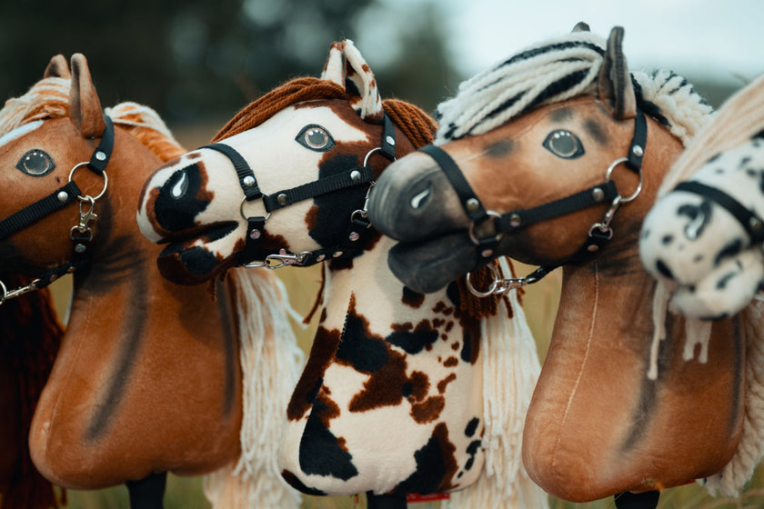 US Hobby Horse Championships 2026: közeleg Amerika legnagyobb Hobby Horse versenye