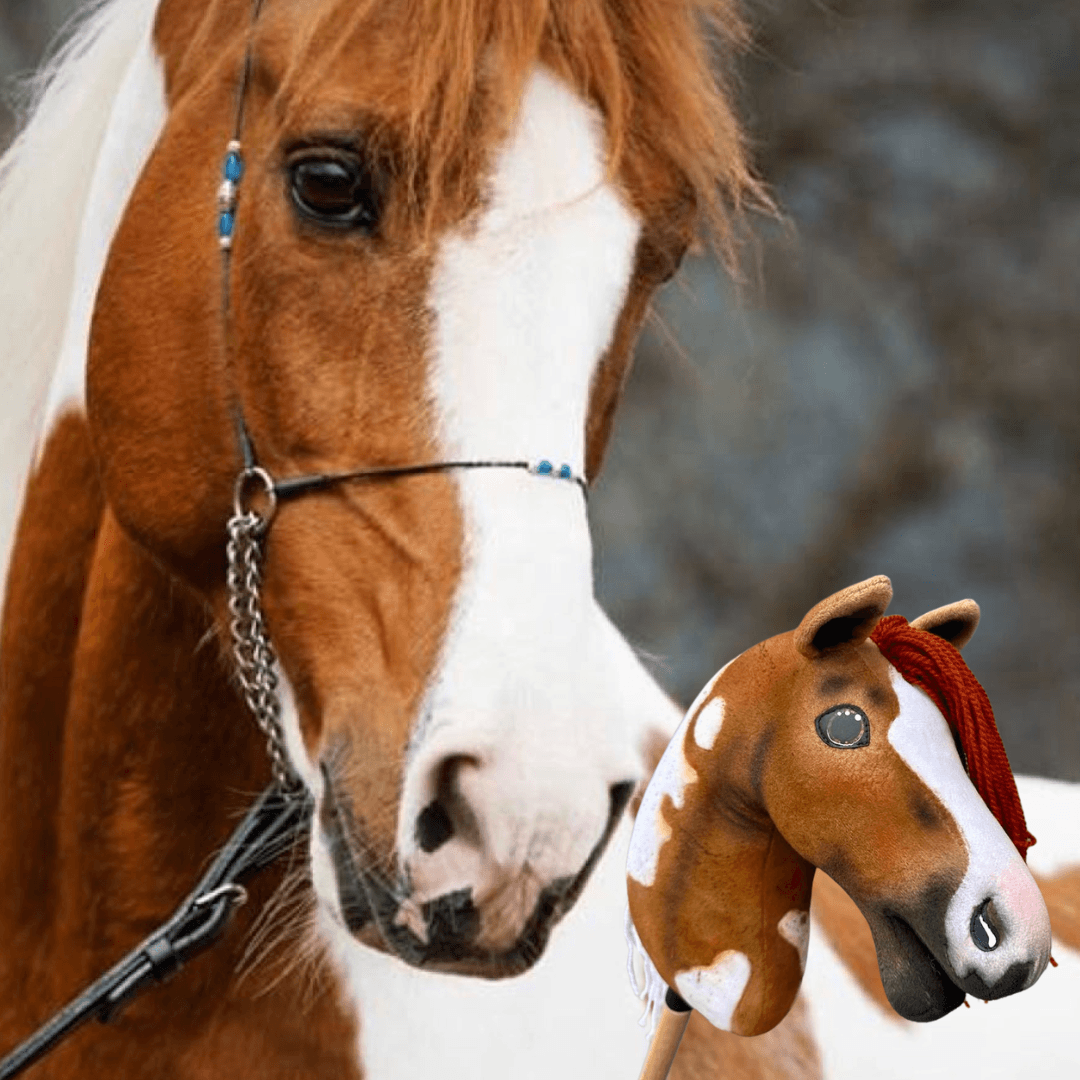 Gesztenyebarna-fehér paint horse bemutató kötőfékben a fehér foltos, piros fonalsörényű Hobby Horse másolata mellett