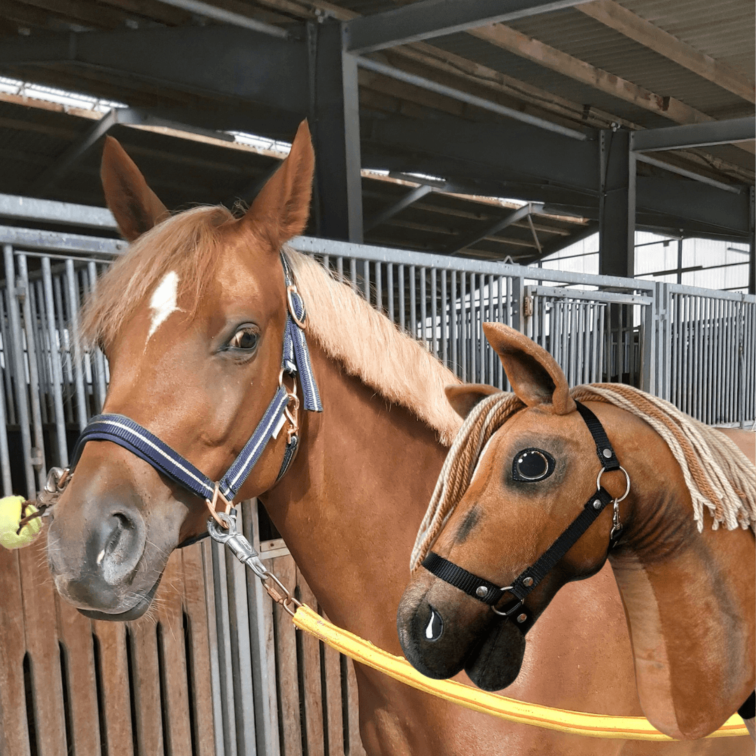 Csillagos gesztenyebarna ló csíkos kötőfékben egy istállóban egy lenszőke fonalsörényű gesztenyebarna Hobby Horse ló mellett