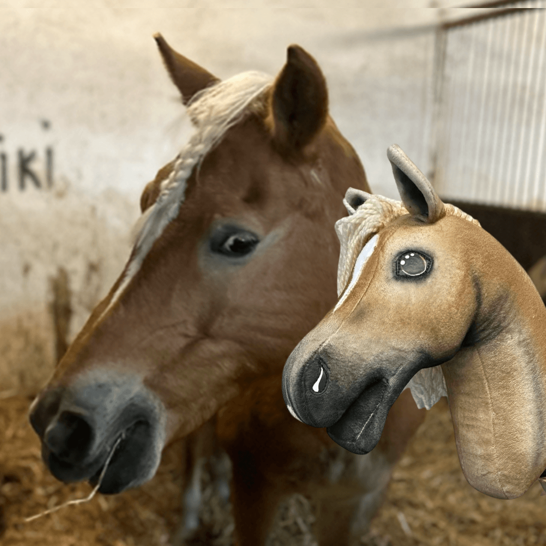 Világos, befont üstökű gesztenyebarna ló egy istállóban egy világos sörényű világosbarna Hobby Horse ló mellett