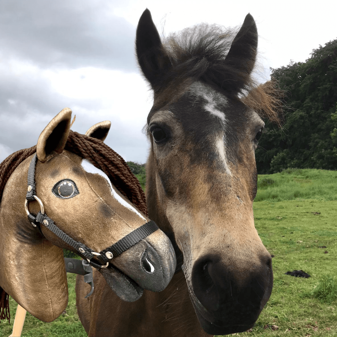 Fehér csillagos barna ló egy zöld mezőn egy befont sörényű, fekete kötőfékes aranybarna Hobby Horse ló mellett