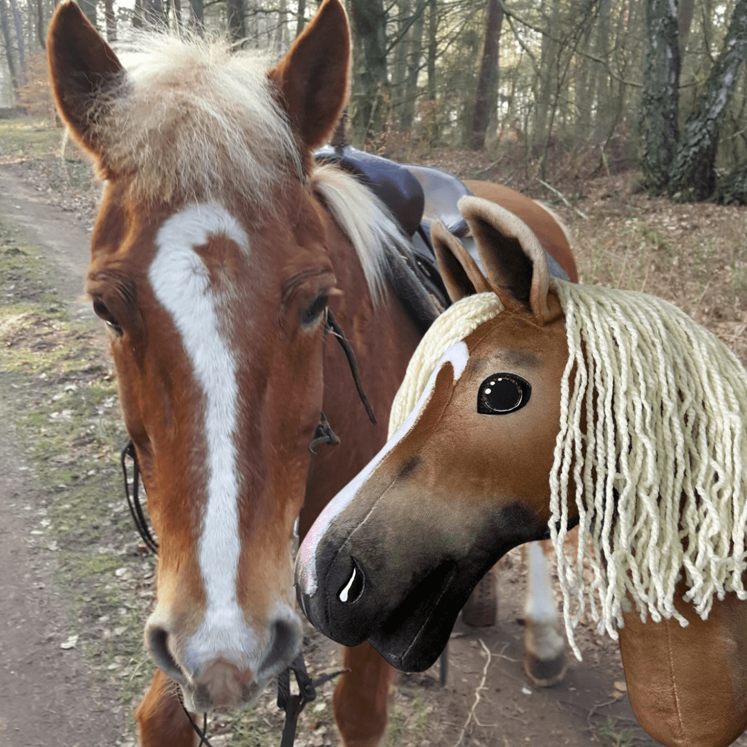 Hókás, lenszőke sörényű gesztenyebarna ló egy erdei ösvényen egy krémszínű fonalsörényű gesztenyebarna Hobby Horse ló mellett