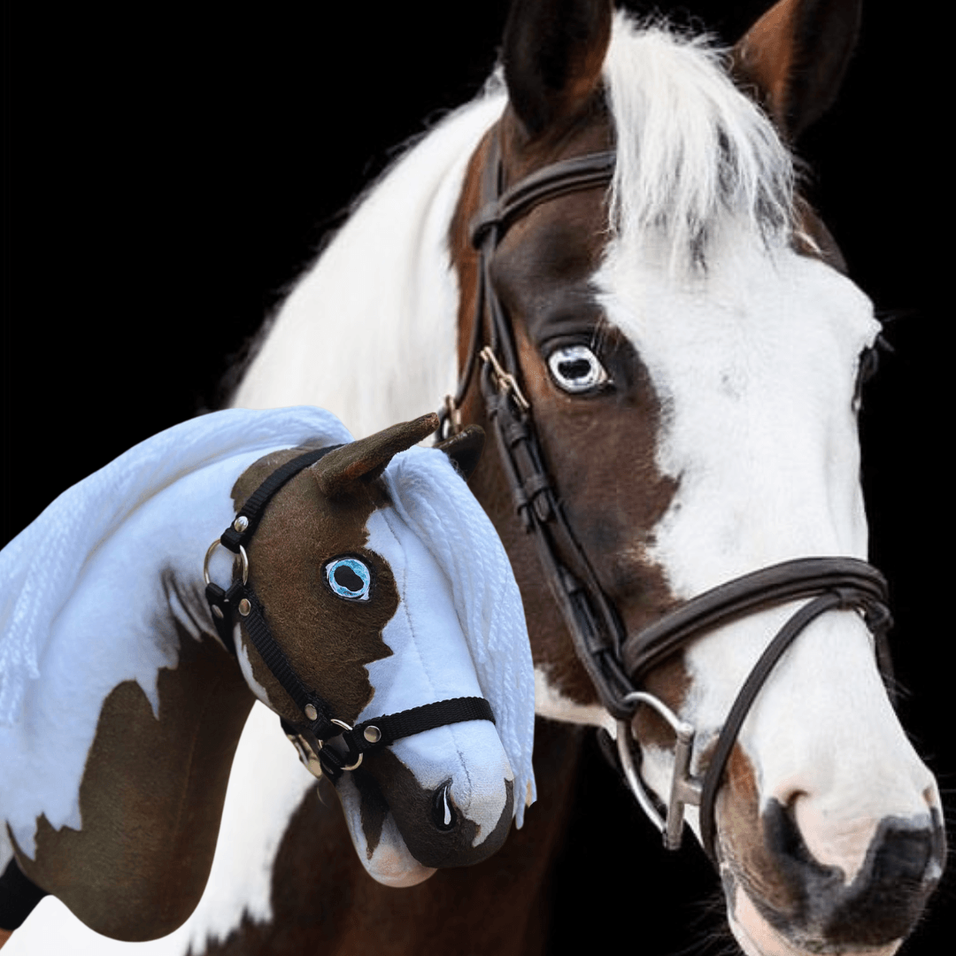 Kék szemű barna-fehér ló a hozzá illő kék szemű, fehér sörényű Hobby Horse ló mellett, fekete háttér előtt