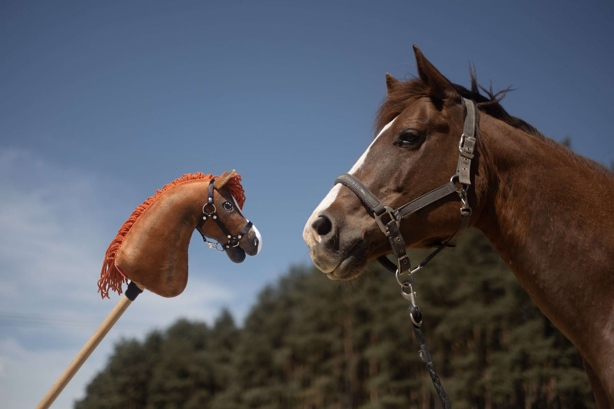 Hókás gesztenyebarna ló bőr kötőfékben szemben a narancssárga rojtos sörényű, fekete kötőfékes Hobby Horse másolatával