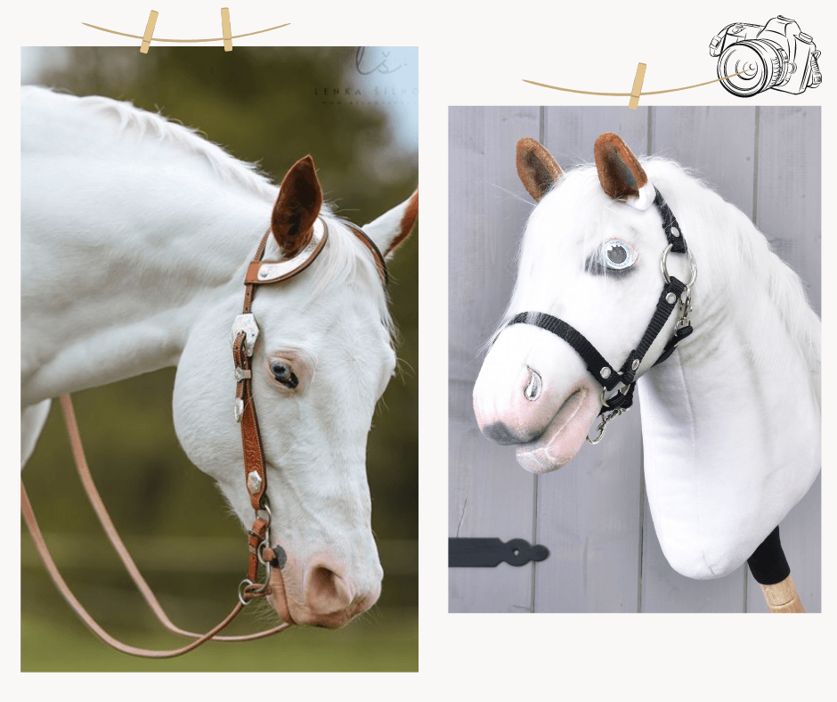 Egymás melletti fotók egy barna fülű fehér lóról és barna fülű, fekete kötőfékes fehér Hobby Horse másolatáról