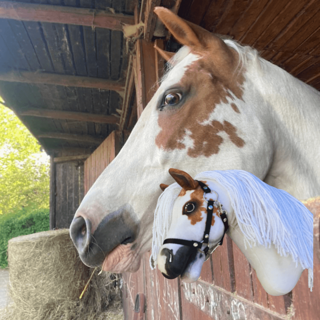 Fehér-gesztenyebarna paint horse egy faistállóból néz ki a hozzá illő, fehér rojtos sörényű Hobby Horse ló fölött