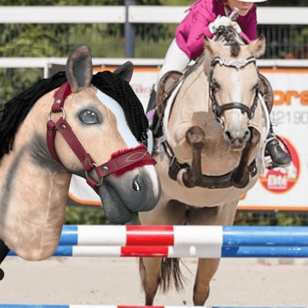 Fakó Hobby Horse ló fekete fonalsörénnyel és bordó kötőfékkel az igazi fakó ló előtt, amely egy piros-fehér-kék akadályt ugrik át