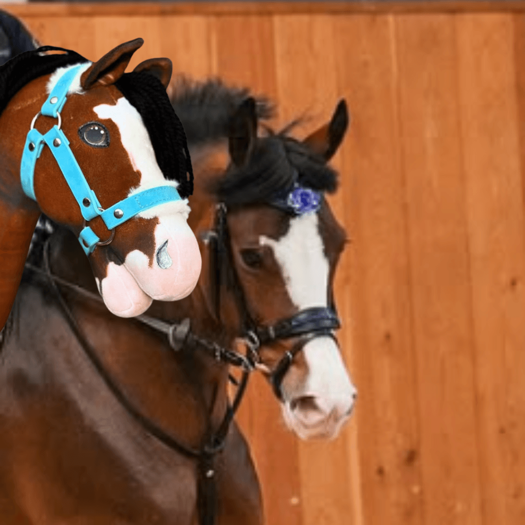 Hókás pej ló kék virággal a kantárján egy rózsaszín orrú, világoskék kötőfékes barna Hobby Horse ló mellett