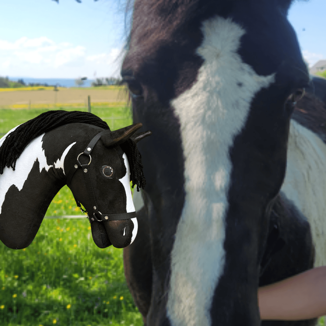 Fekete-fehér ló egy pitypangos réten a fekete fonalsörényű fekete-fehér Hobby Horse másolata mellett