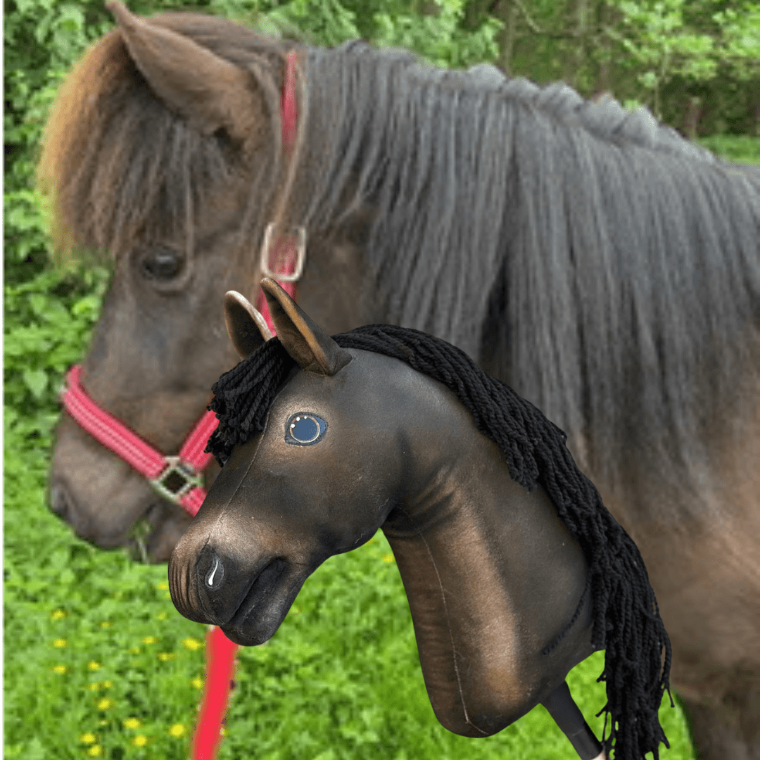 Hosszú sörényű sötétbarna póni piros kötőfékben a zöldben, egy fekete fonalsörényű sötétbarna Hobby Horse ló mellett