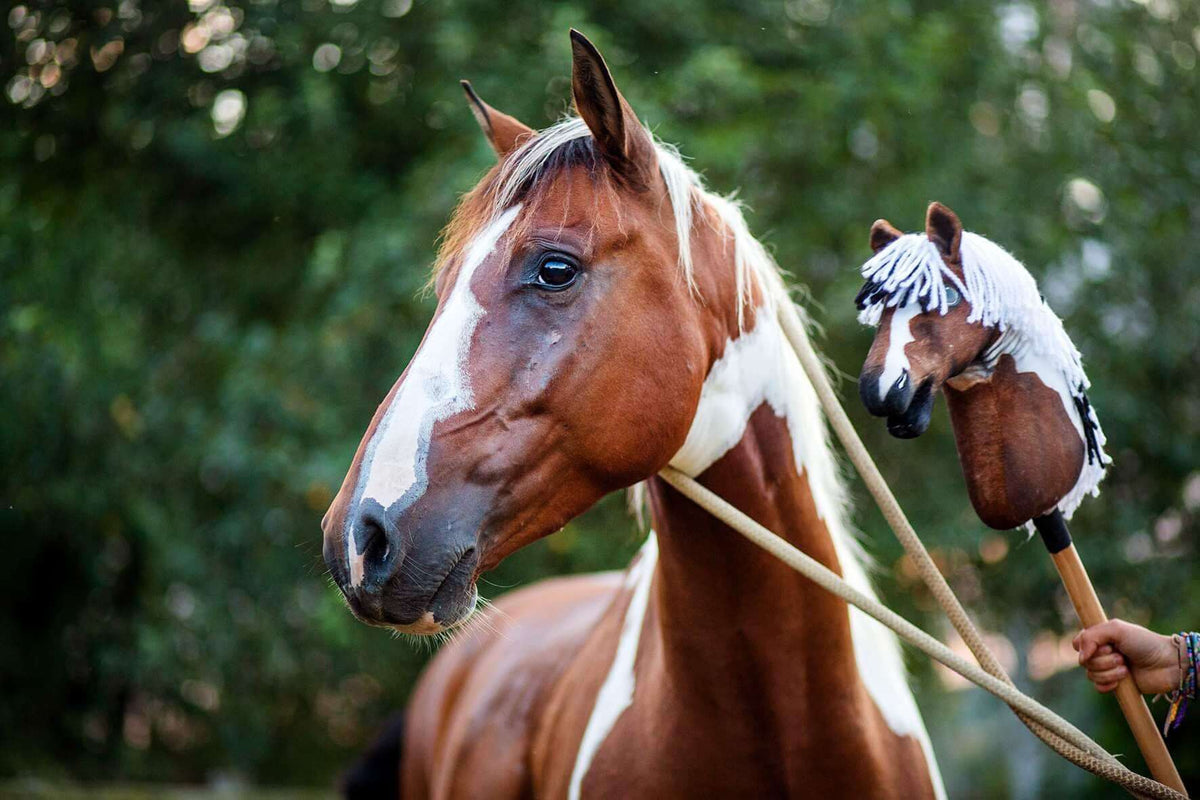 LarDen Hobby Horse fotó alapján: gesztenyebarna-fehér másolat a hozzá illő igazi paint horse mellé tartva