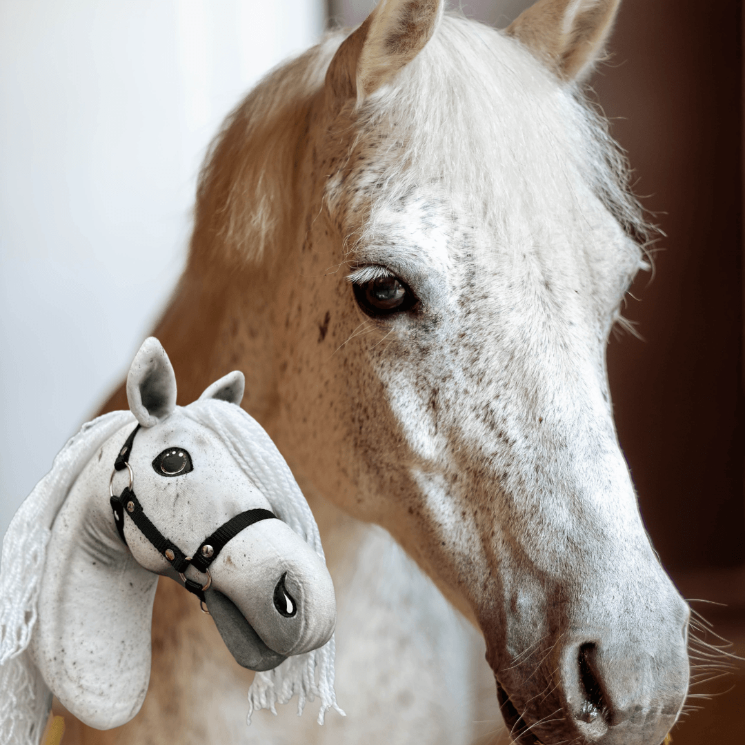 Közeli kép egy legyesszürke lóról egy fehér rojtos sörényű, fekete kötőfékes halványszürke Hobby Horse ló mellett
