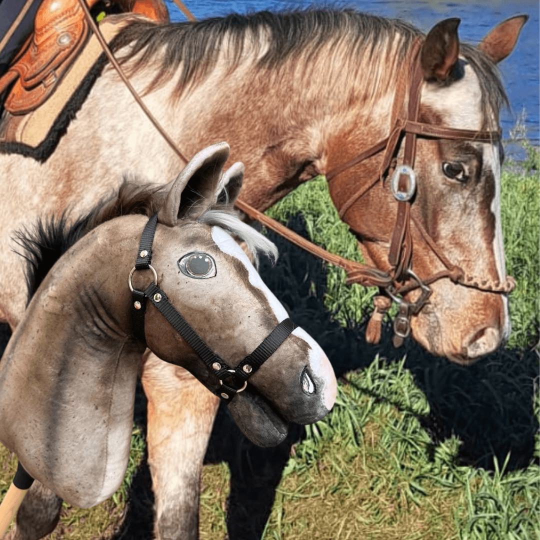 Deres ló western kantárban a víz partján, előtte egy fehér hókás, fekete kötőfékes szürkésbarna Hobby Horse ló