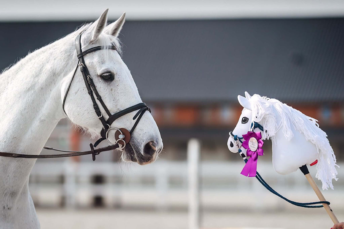 Szürke ló fekete kantárban a fehér Hobby Horse másolata mellett, amelynek rojtos sörénye és lila rozettája van, mögöttük fehér kerítés