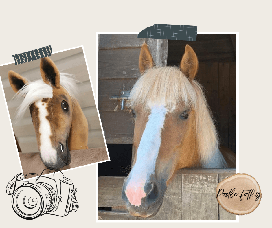 Kollázs: fehér sörényű, hókás palomino Hobby Horse ló az istállójából kinéző igazi palomino ló mellett