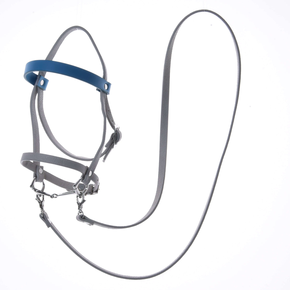 Light grey leatherette Hobby Horse bridle with blue browband, bit and long reins, laid out on white