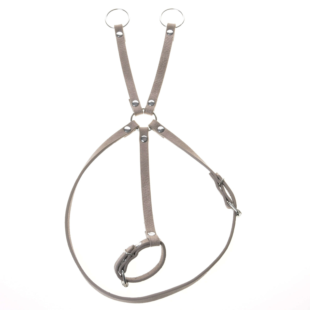Beige leatherette Hobby Horse martingale with two silver rings, neck strap and loop, laid out on white