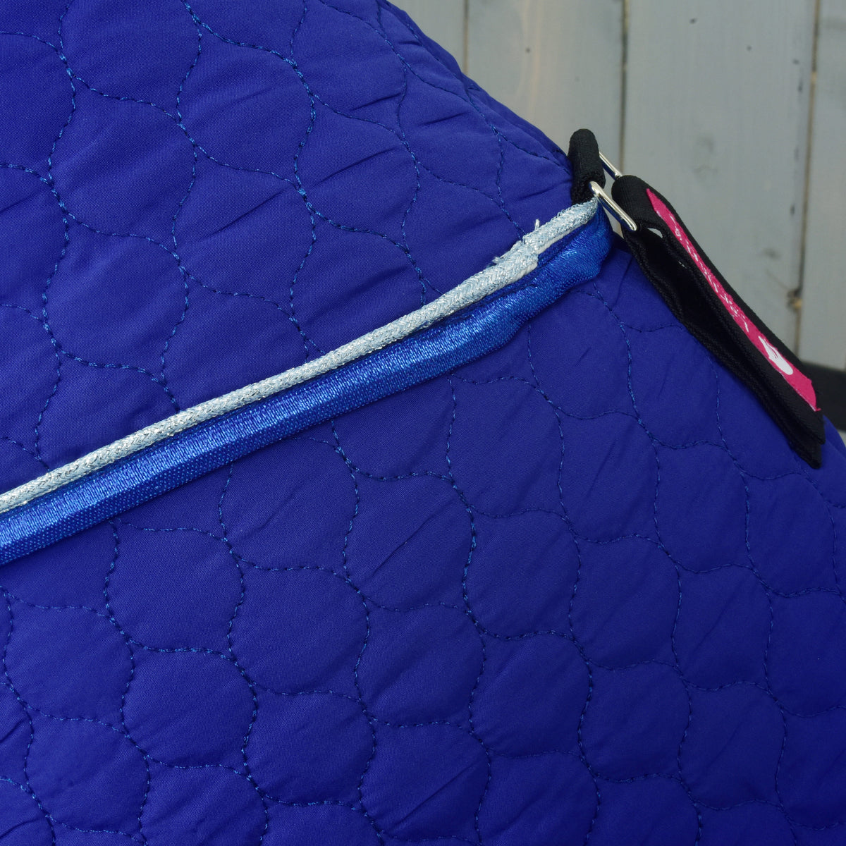 Close-up where the Bluebell neck cover meets the blanket, silver and blue piping and a black strap at the chest