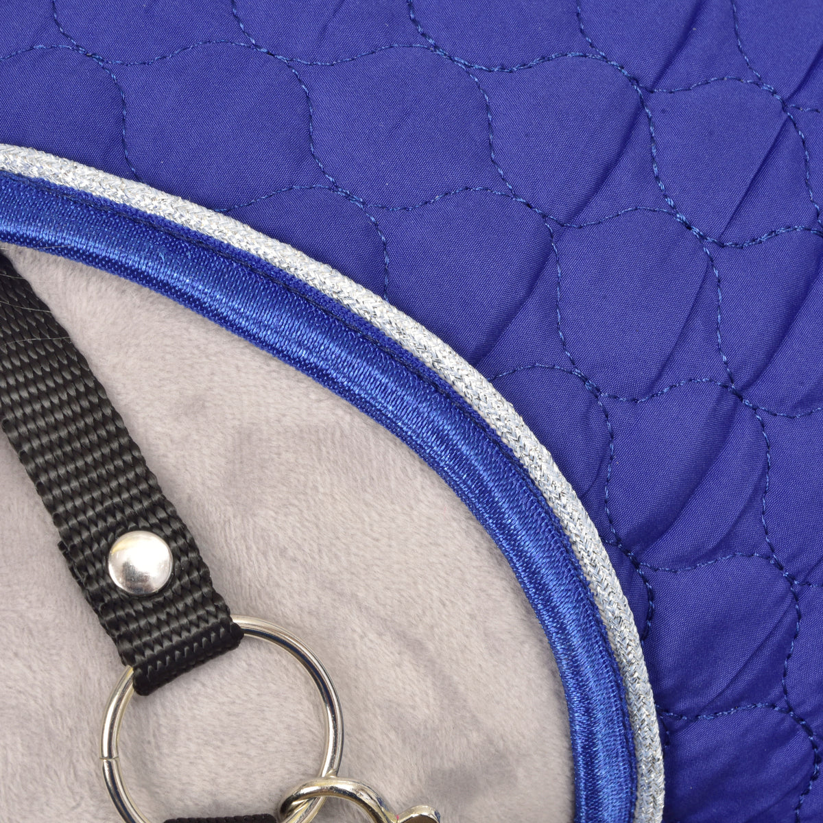 Close-up of the Bluebell neck edge with blue and silver piping beside a black halter strap, silver ring and snap hook