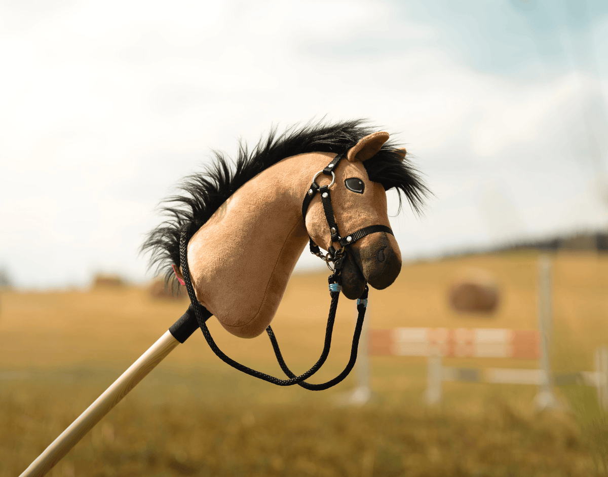 Light brown Hobby Horse with a shaggy black mane and black bridle in a summer field with a jump behind