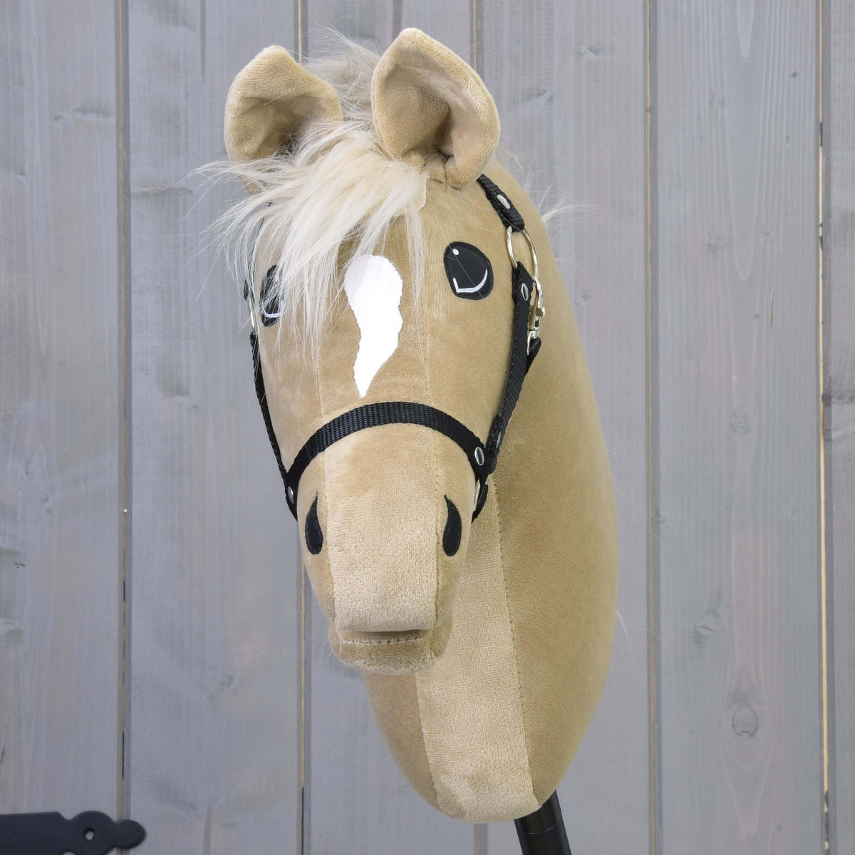 Hobby Horse Dancing Lady with Black Halter from the front, white star on the forehead and a soft cream forelock