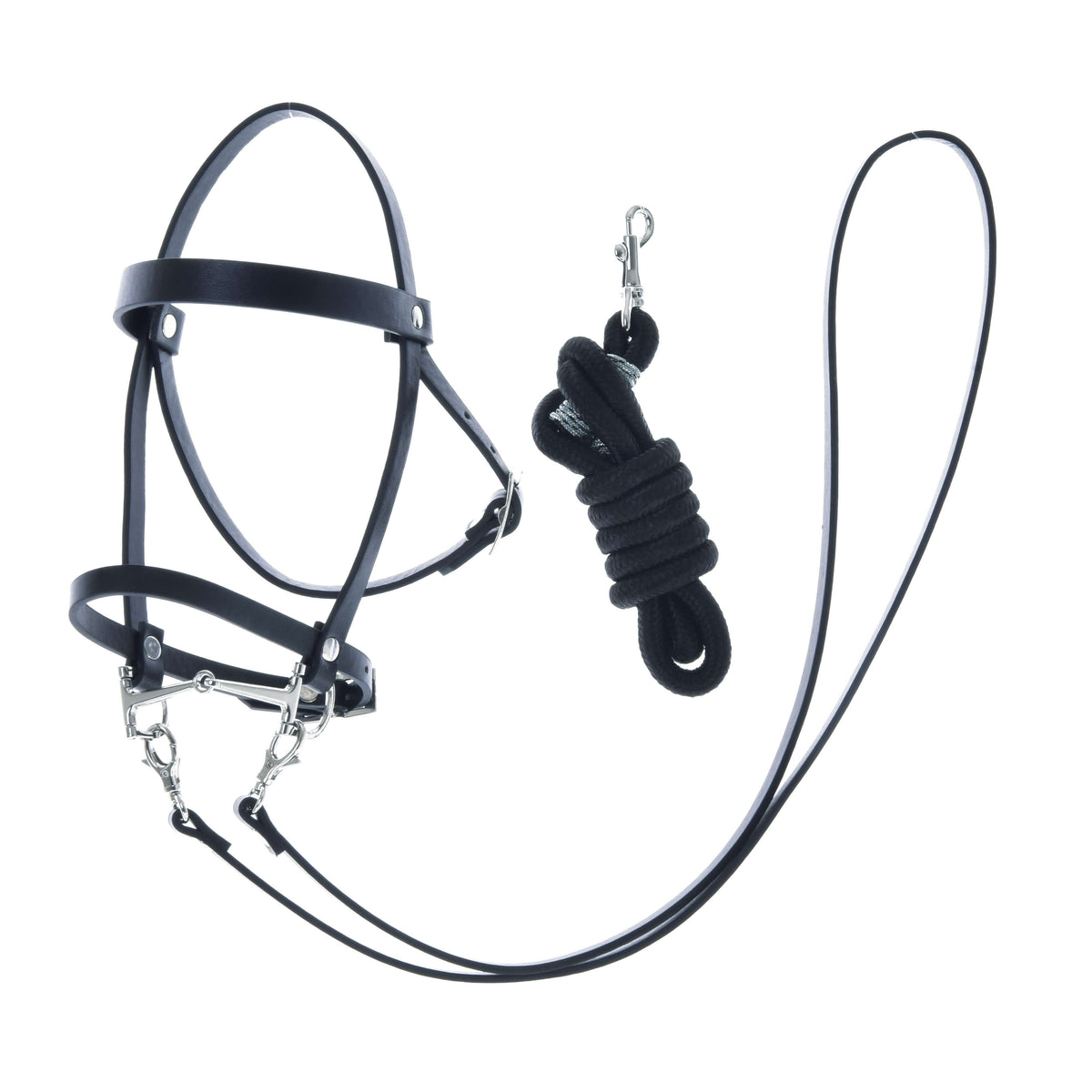 Hobby Horse Set Basic bridle with reins next to a coiled black lead rope with a silver snap hook, on white