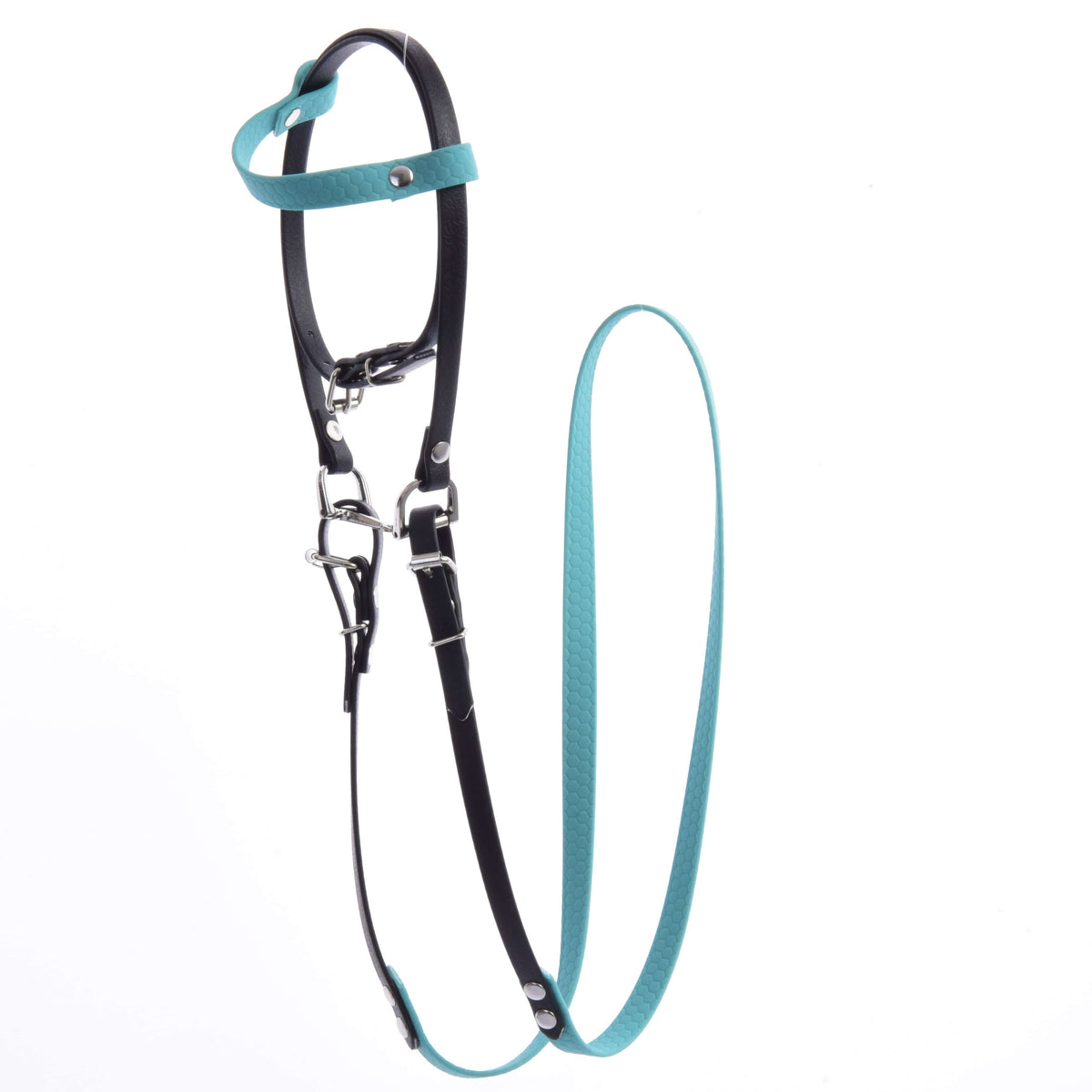 Fekete-türkiz műbőr Hobby Horse kantár zablával és türkiz kantárszárral, fehér alapon kiterítve