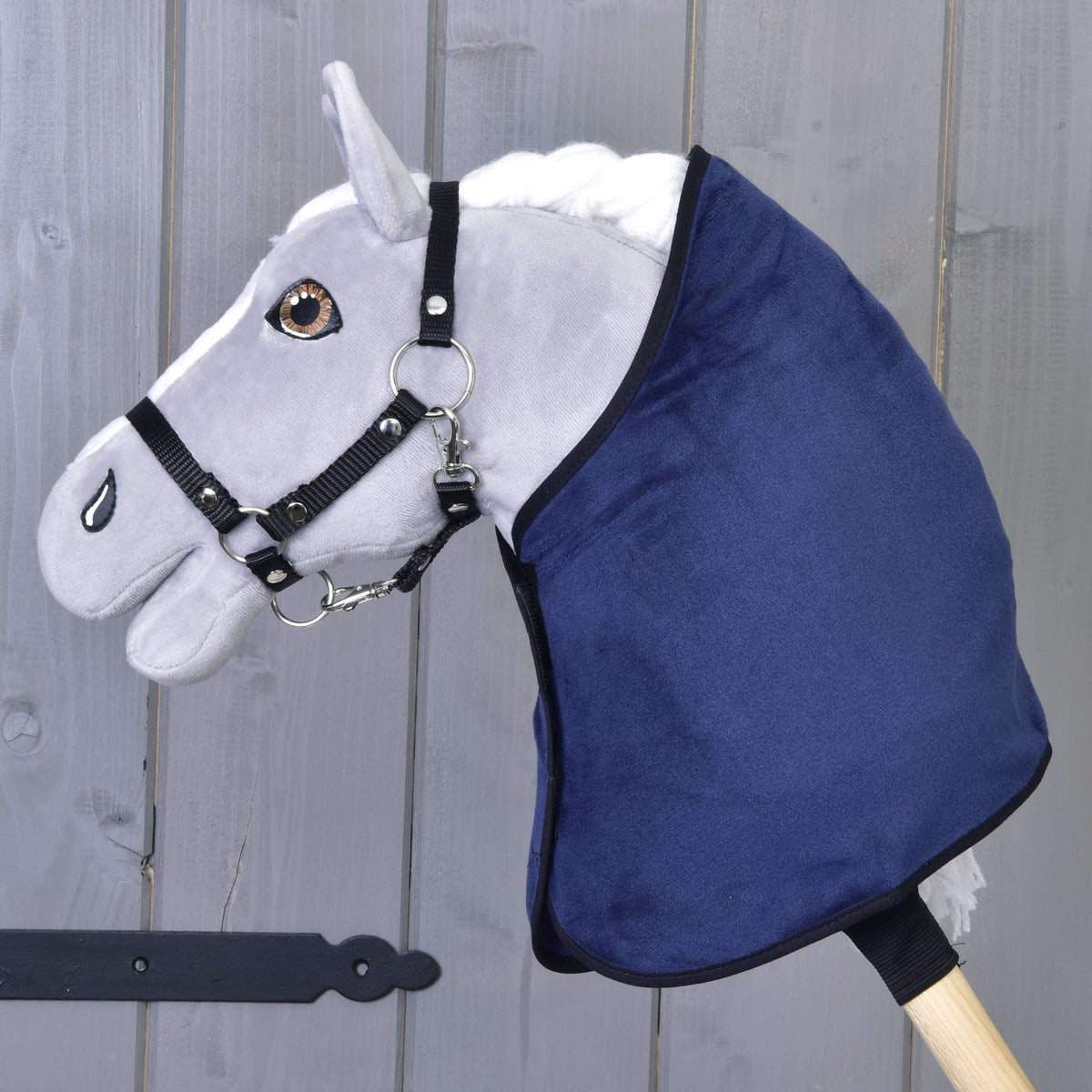 Grey Hobby Horse in a black halter wearing only the dark blue velvety blanket with black binding