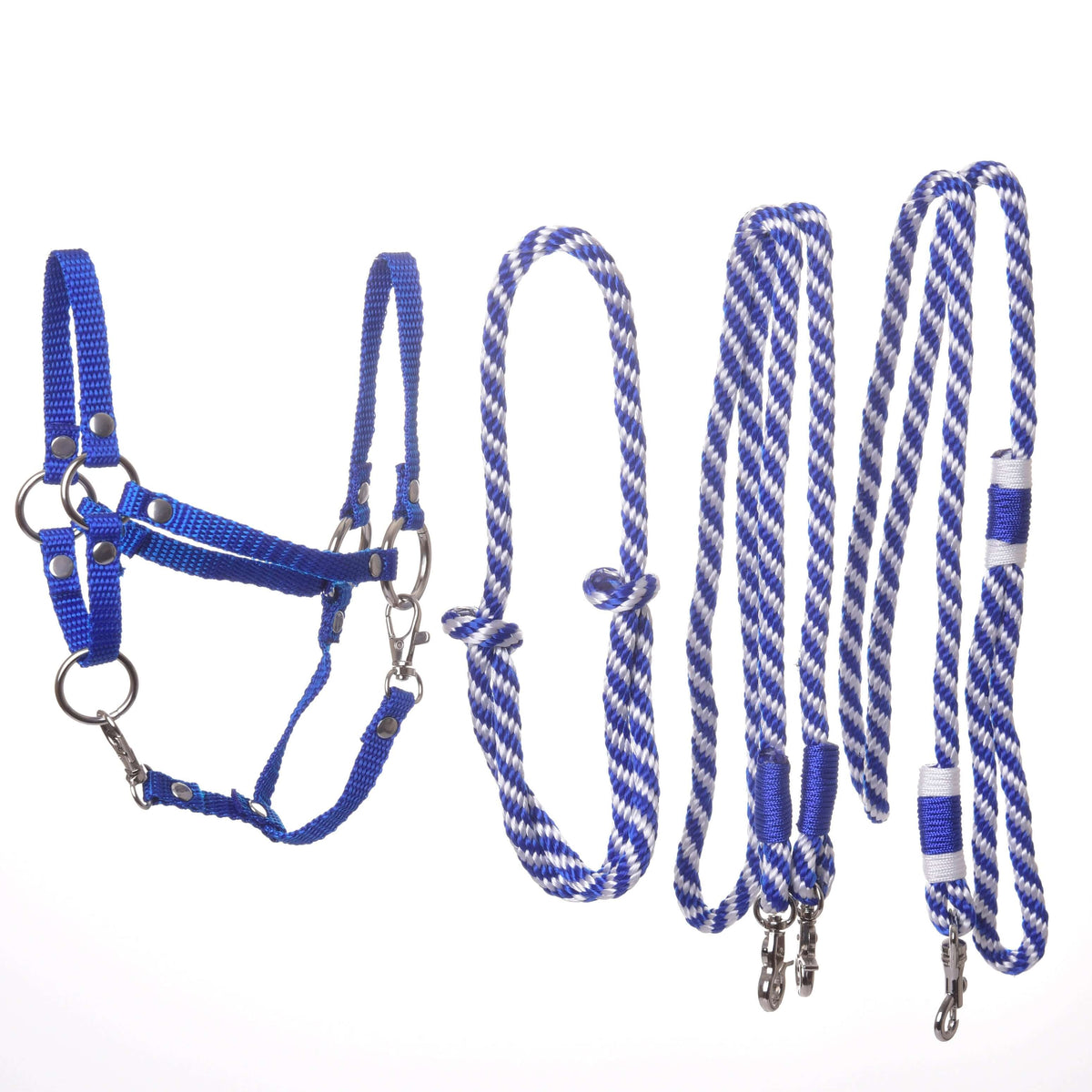 All four pieces of the Hobby Horse Set Start blue side by side: blue halter, cordeo, reins and lead rope