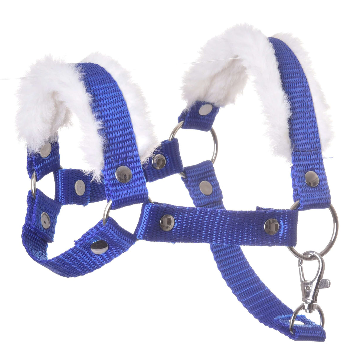 LarDen Hobby Horse szőrmés kötőfék kék, királykék nejlonhevederből, fehér szőrmebéléssel, ezüstszínű karikákkal és karabinerrel