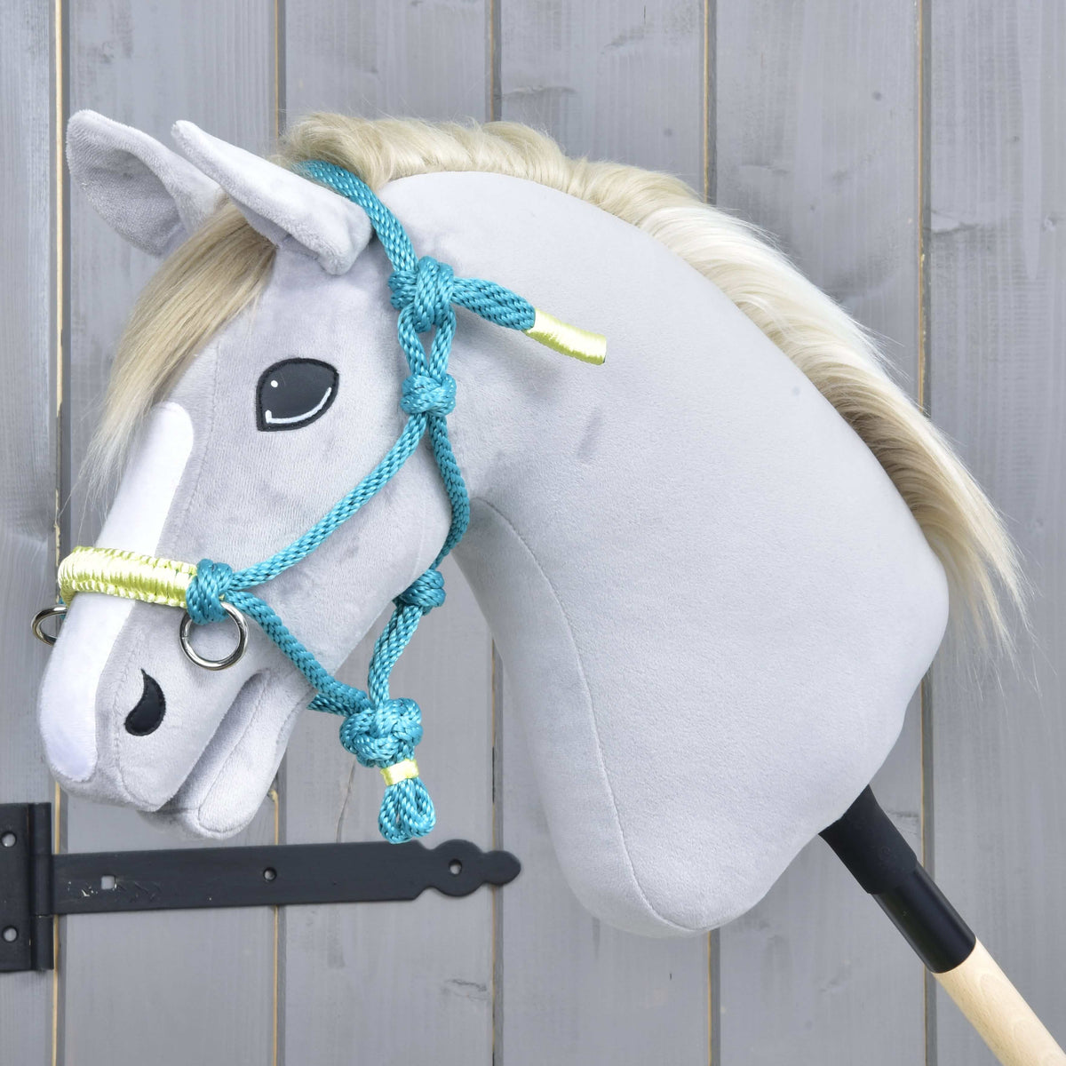 Light grey Hobby Horse with a blond mane in the turquoise rope halter with its pale yellow noseband by a grey door