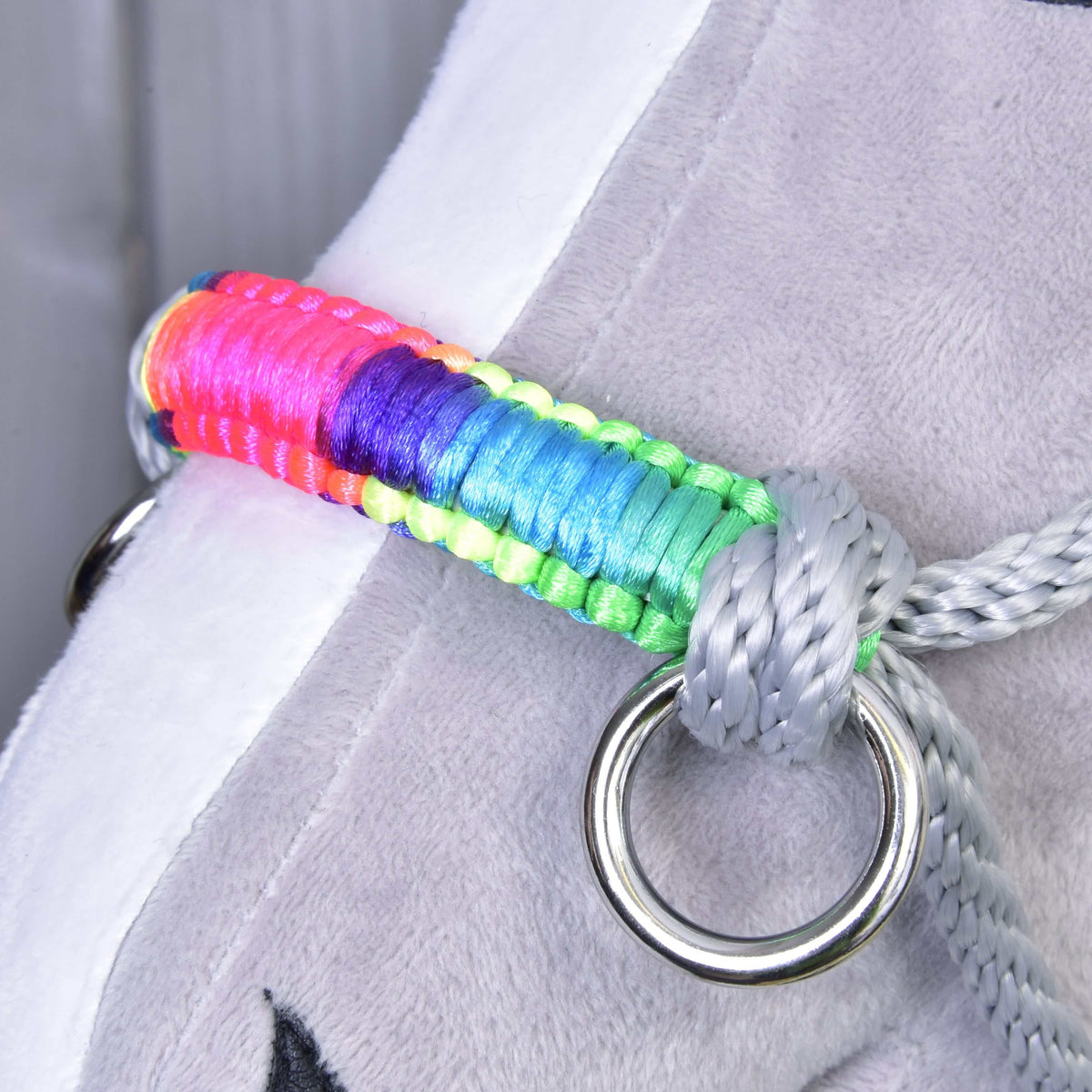 Close-up of the pink, purple, blue and green wrapped noseband and silver ring of the Manhattan rope halter on a Hobby Horse