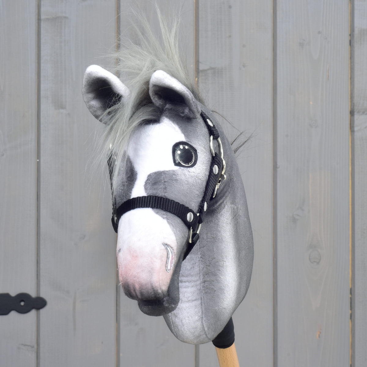 A szürke Hobby Horse ló szemből: fehér hóka, puha fülek és csillogó szemek
