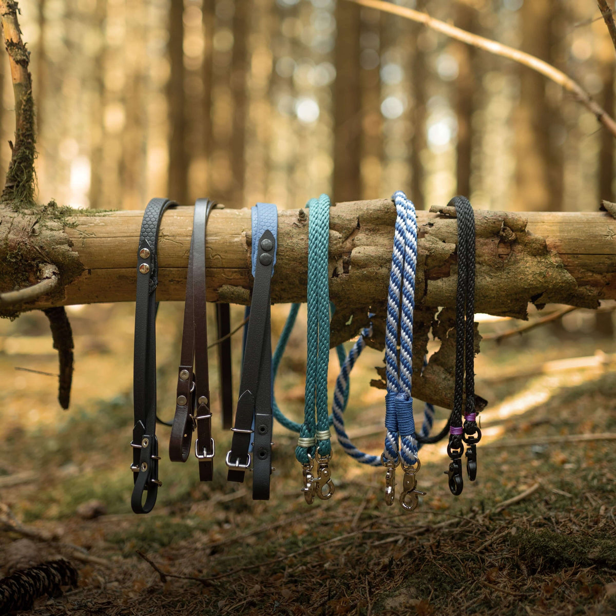 Six Hobby Horse reins in black and brown leatherette and colourful rope hanging over a fallen branch in a sunlit forest