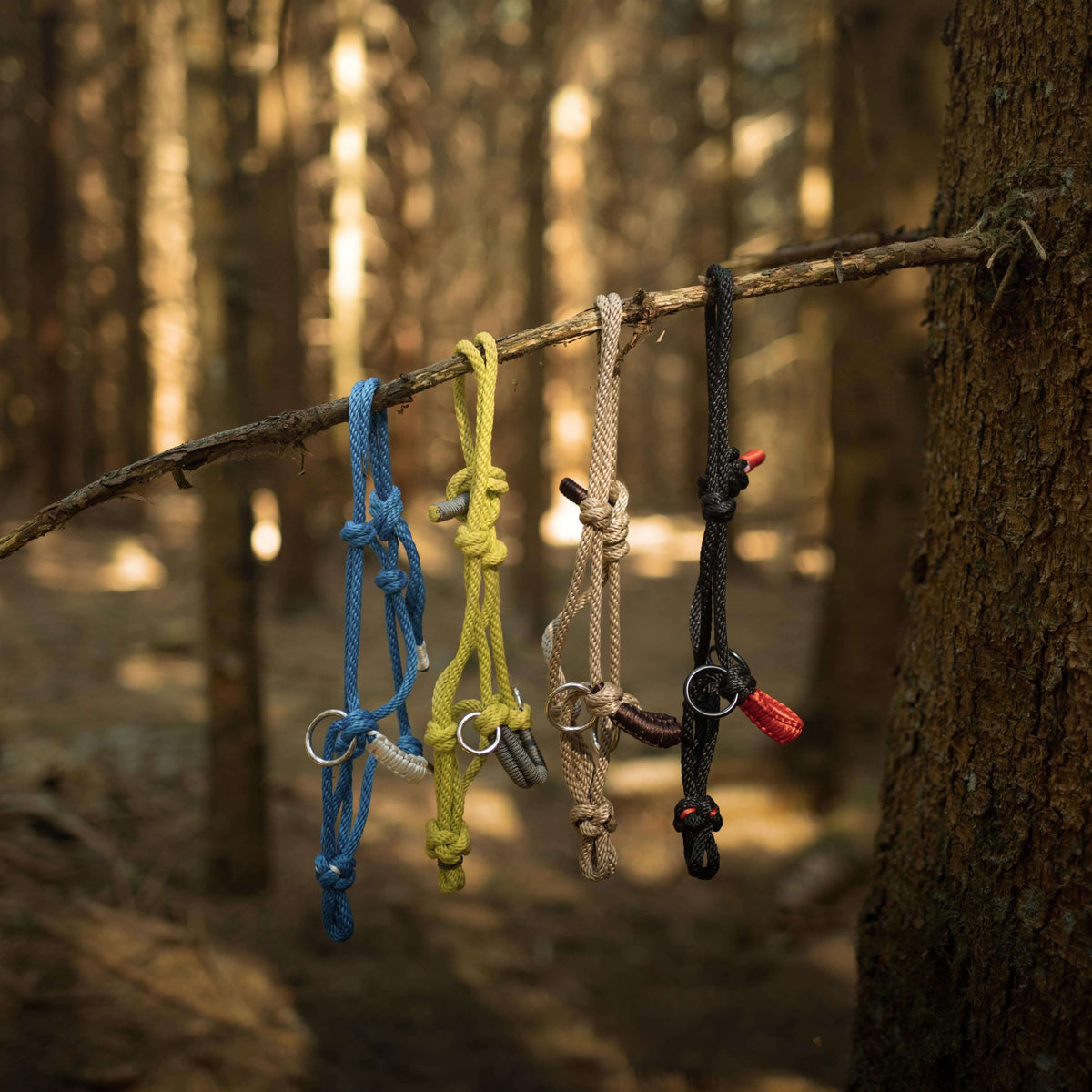 Four Hobby Horse rope halters in blue, yellow, beige and black hanging from a branch in a sunlit forest