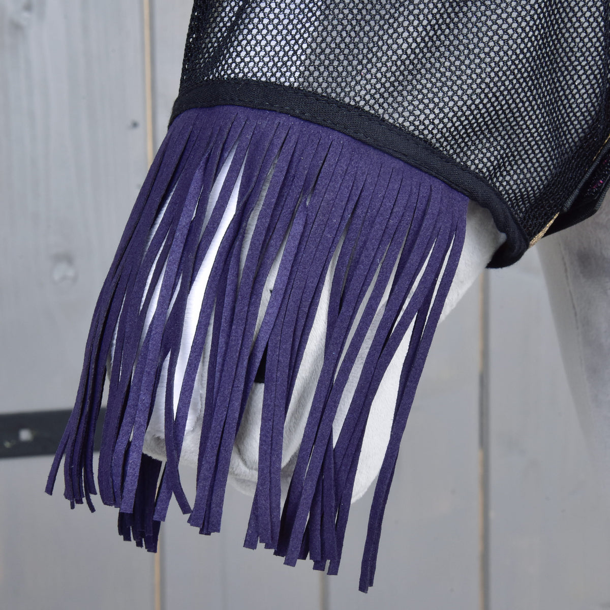 Close-up of the long dark purple fringe hanging from the black mesh over the nose of a light grey Hobby Horse