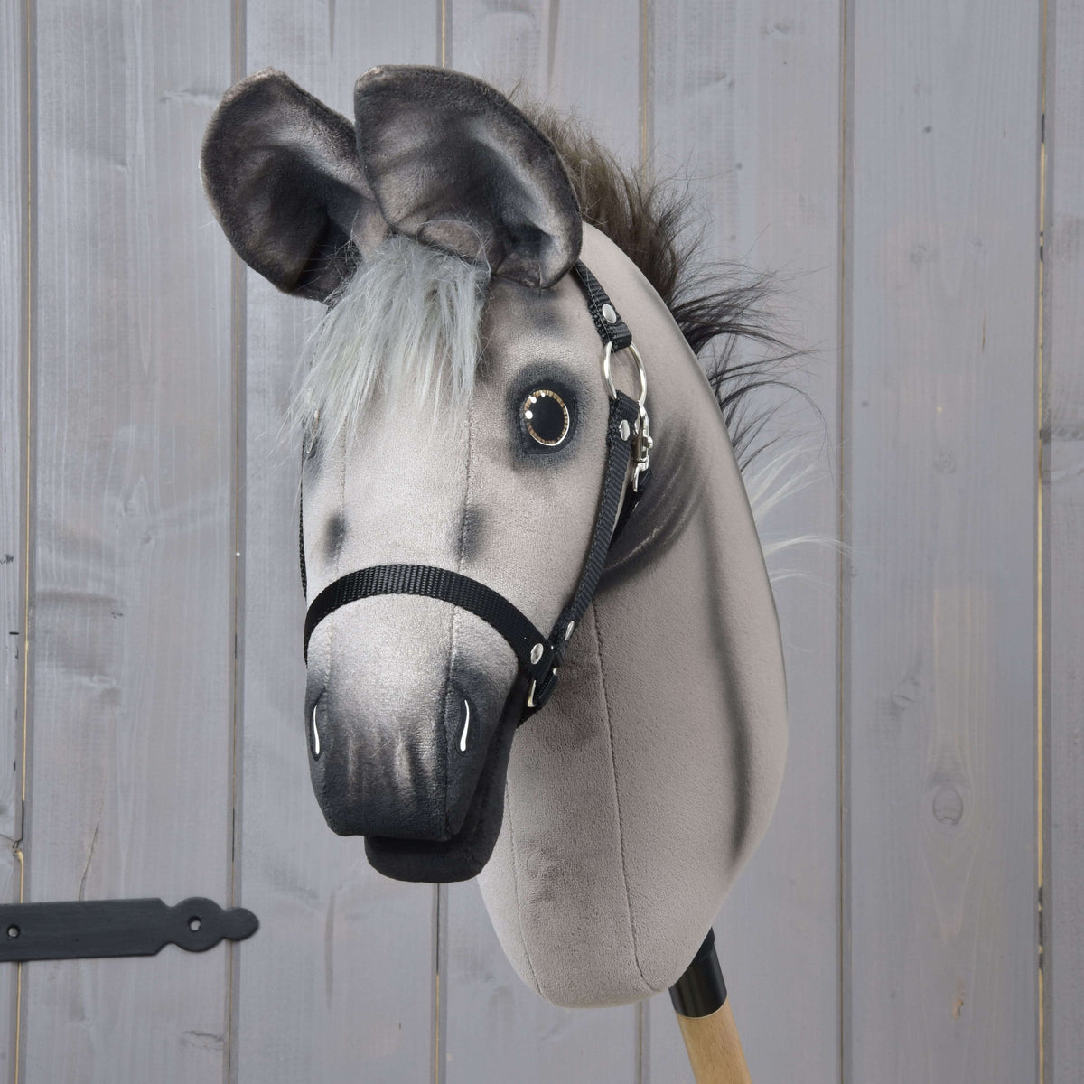 Front view of Hobby Horse Donkey Olin with large dark ears, a grey forelock, dark-shaded eyes and a black halter