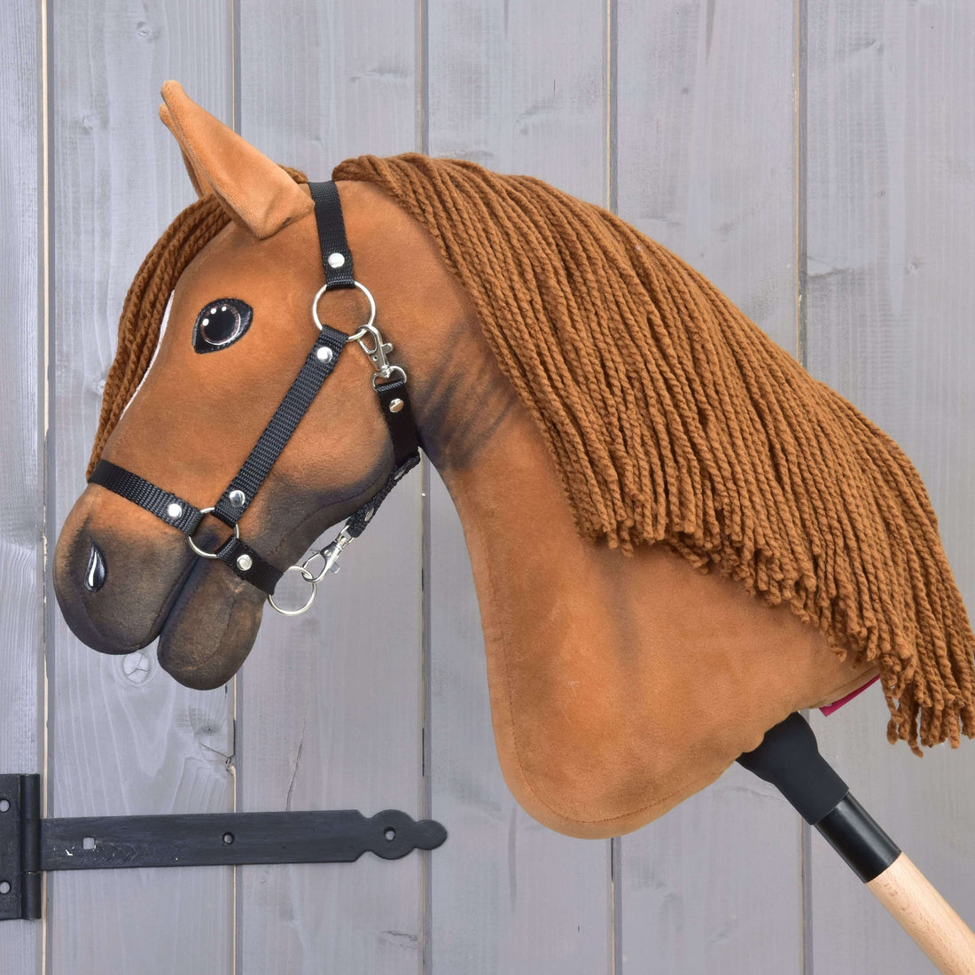 Hobby Horse Pippa with Black Halter
