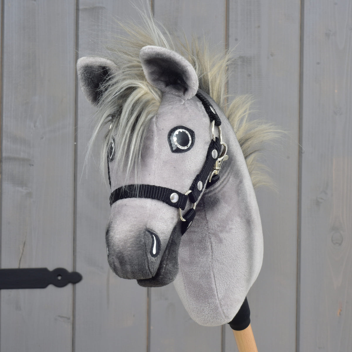 Hobby Horse Prestige elölről, a szürke fülek között könnyed, szálas üstökkel, csillogó szemekkel és fekete heveder kötőfékkel