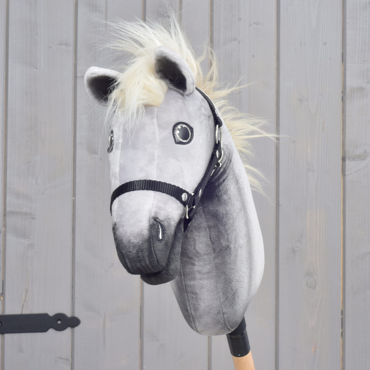 A szürke Silver Dream Hobby Horse ló szemből: sötétebb árnyalatú orr, dús krémszínű sörény és fekete nejlon kötőfék