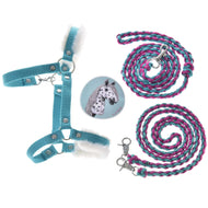 Hobby Horse Set Perfect Combination Turquoise by LarDen: turquoise fur halter, braided lead rope, reins and sticker