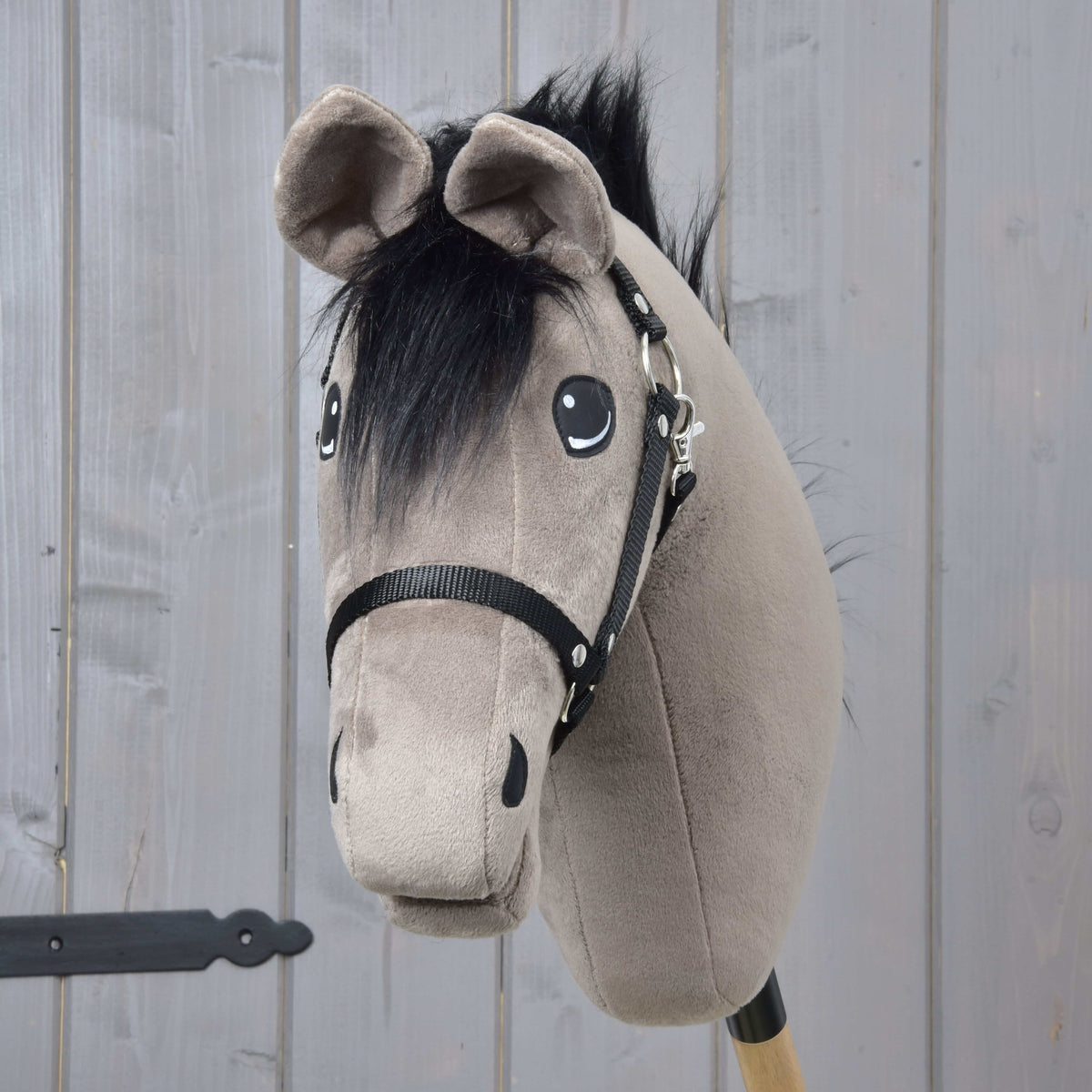 Hobby Horse Thor elölről, a szürkésbarna fülek között bolyhos fekete üstökkel és fekete kötőfékkel