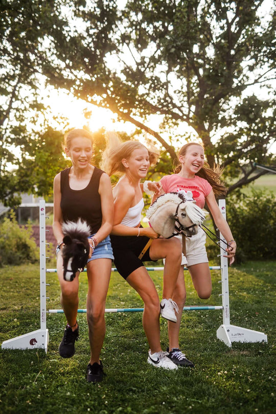 Hobby Horse LarDen – Handmade Hobby Horse Toys for Kids