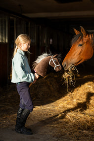 Girl in a mint top and riding boots in a stable holding Hobby Horse Alfredo in a white halter beside a bay horse eating hay