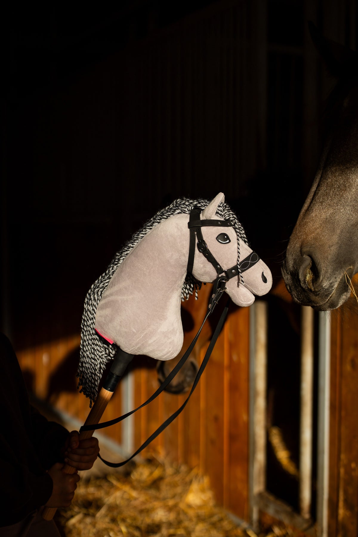 Hobby Horse Caesar in a black bridle with reins meeting the muzzle of a real horse in a dim, sunlit stable