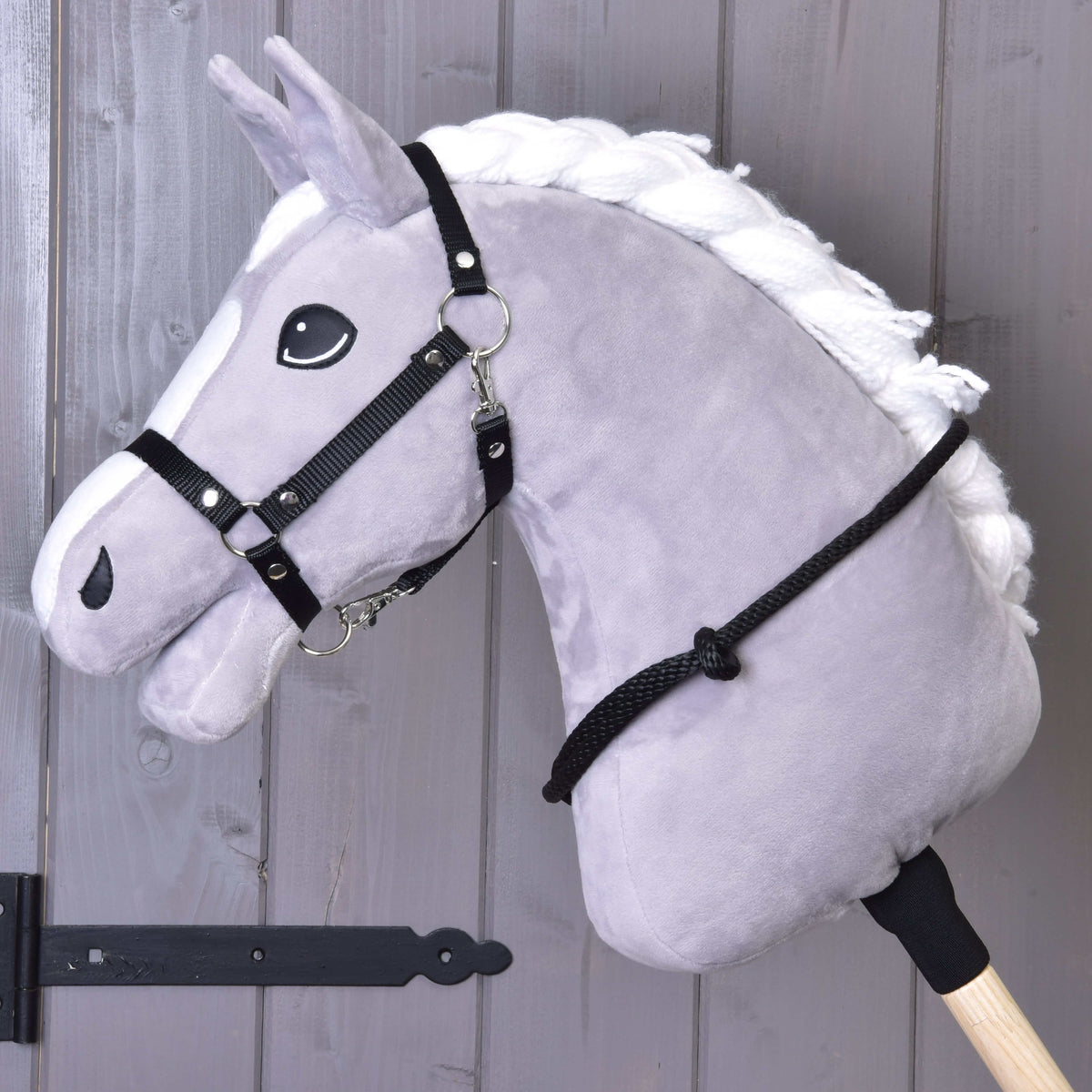 Grey Hobby Horse in a black webbing halter with the black rope cordeo around its neck